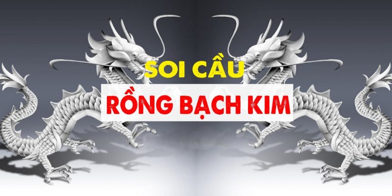 Đơn giản khi tham gia soi cầu Rồng Bạch Kim